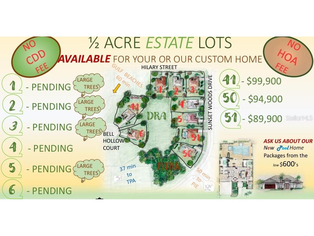 12673 Sunset Woods Drive Spring Hill FL 34609 W7875542 image3