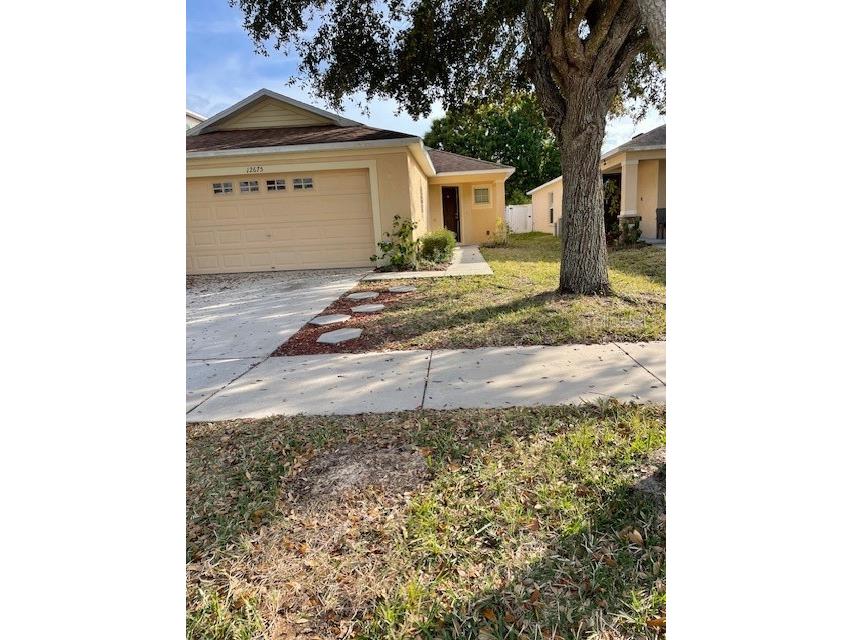 12675 Belcroft Drive Riverview FL 33578 T3503921 image1