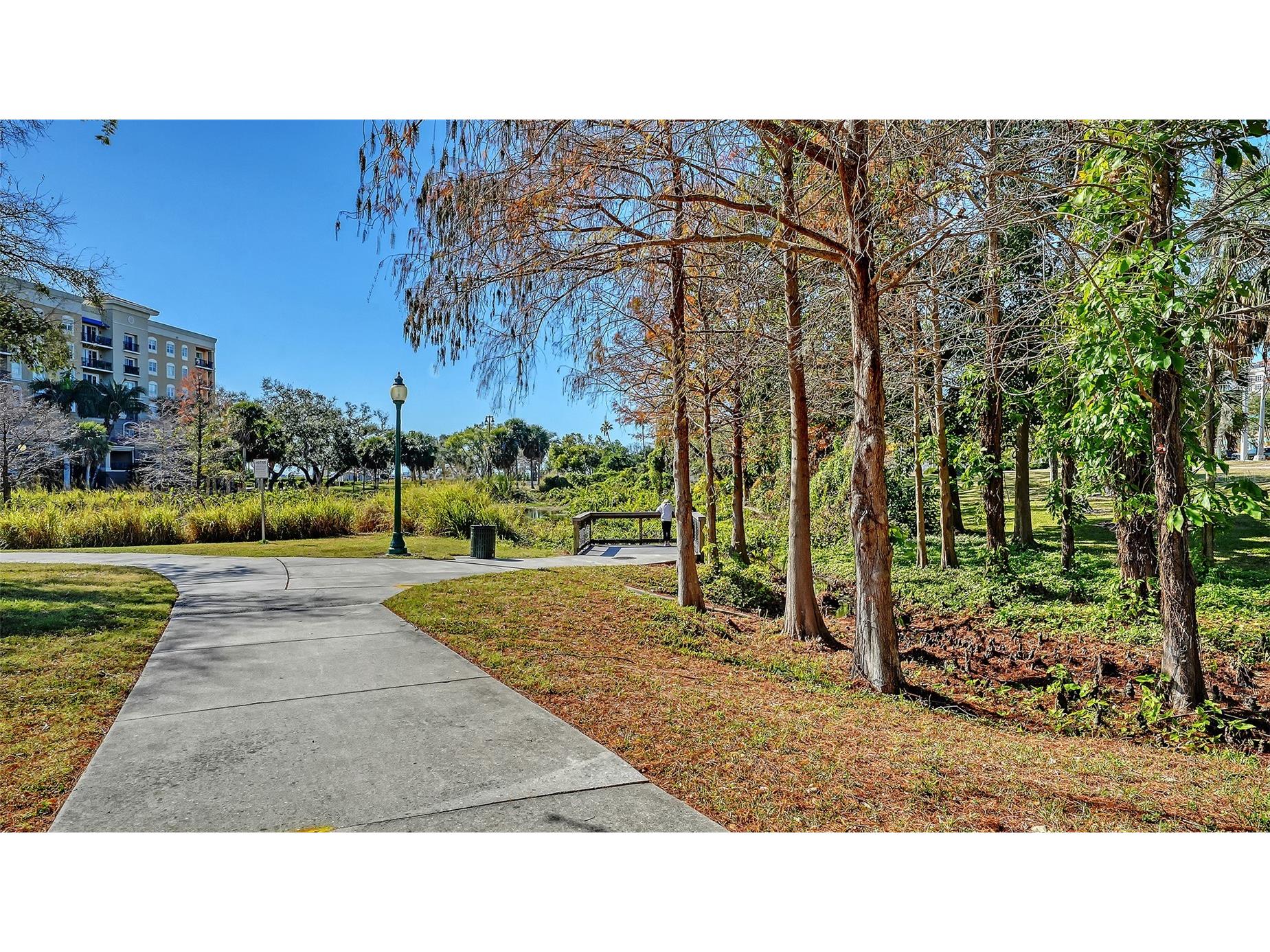 1268 11th Street #2403 Sarasota FL 34236 A4681291 image13