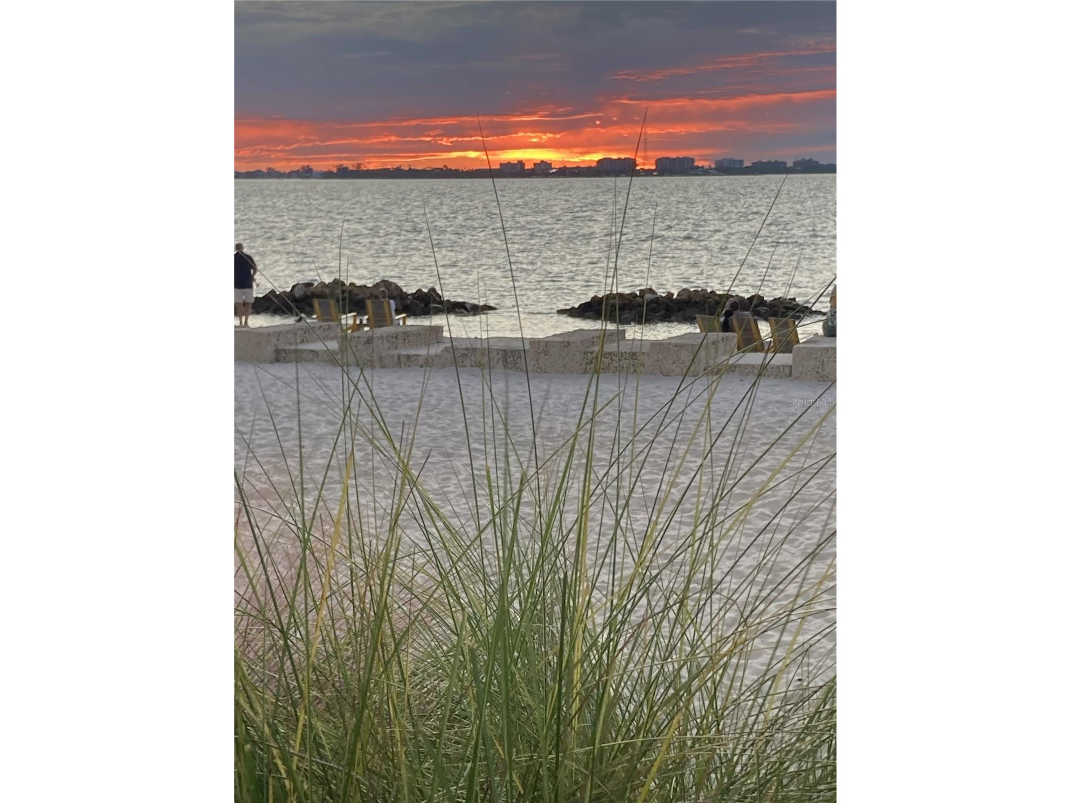 1268 11th Street #2403 Sarasota FL 34236 A4681291 image39