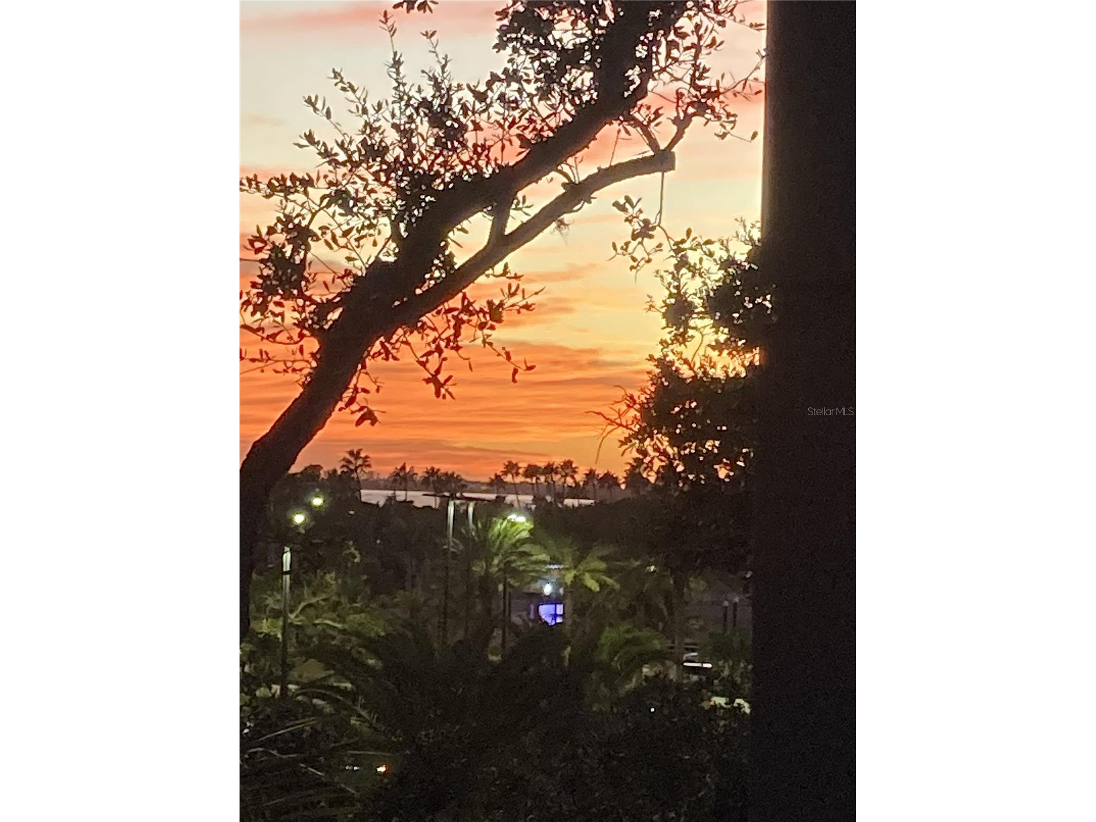 1268 11th Street #2403 Sarasota FL 34236 A4681291 image40