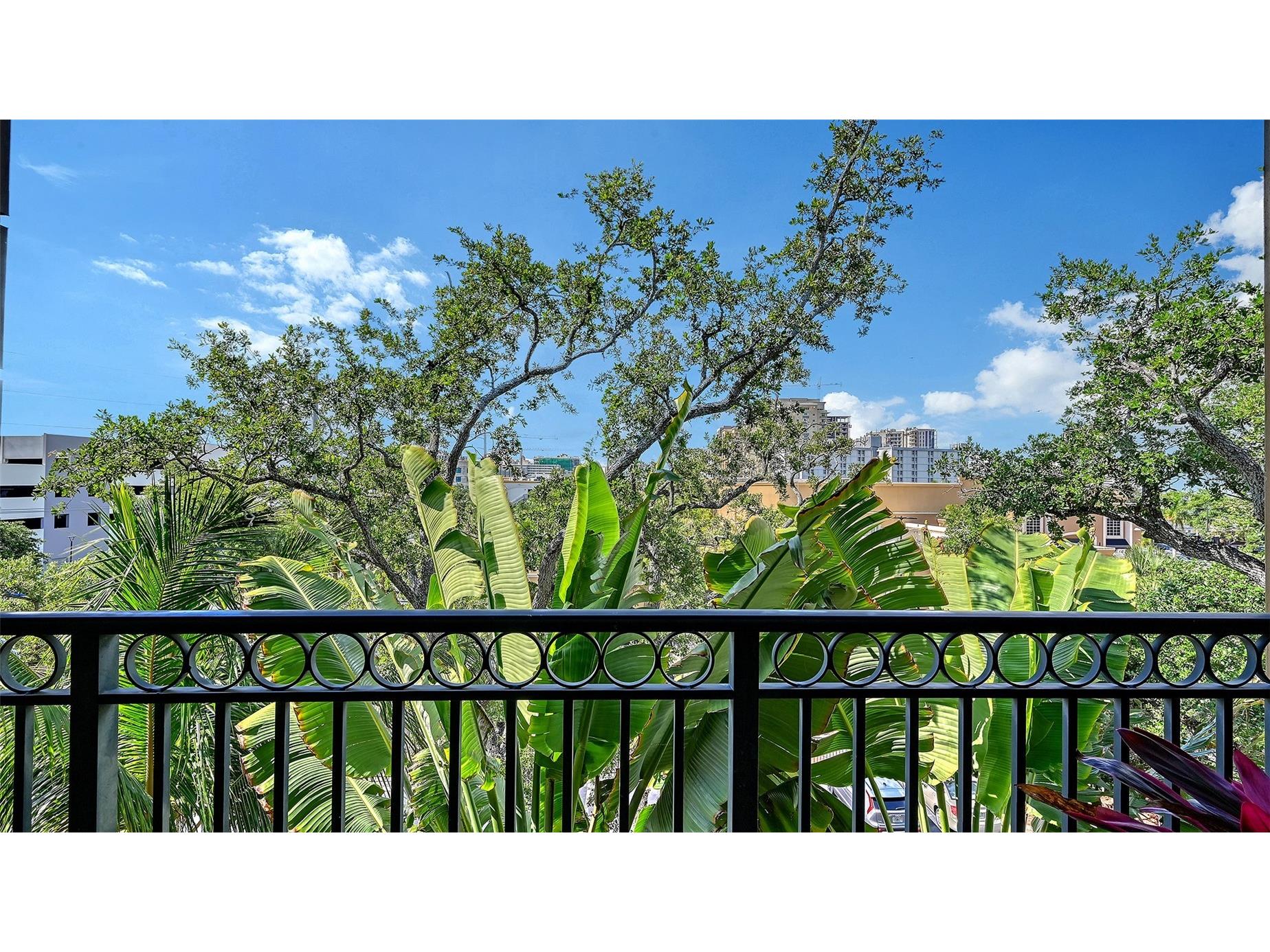 1268 11th Street #2404 Sarasota FL 34236 A4695491 image18