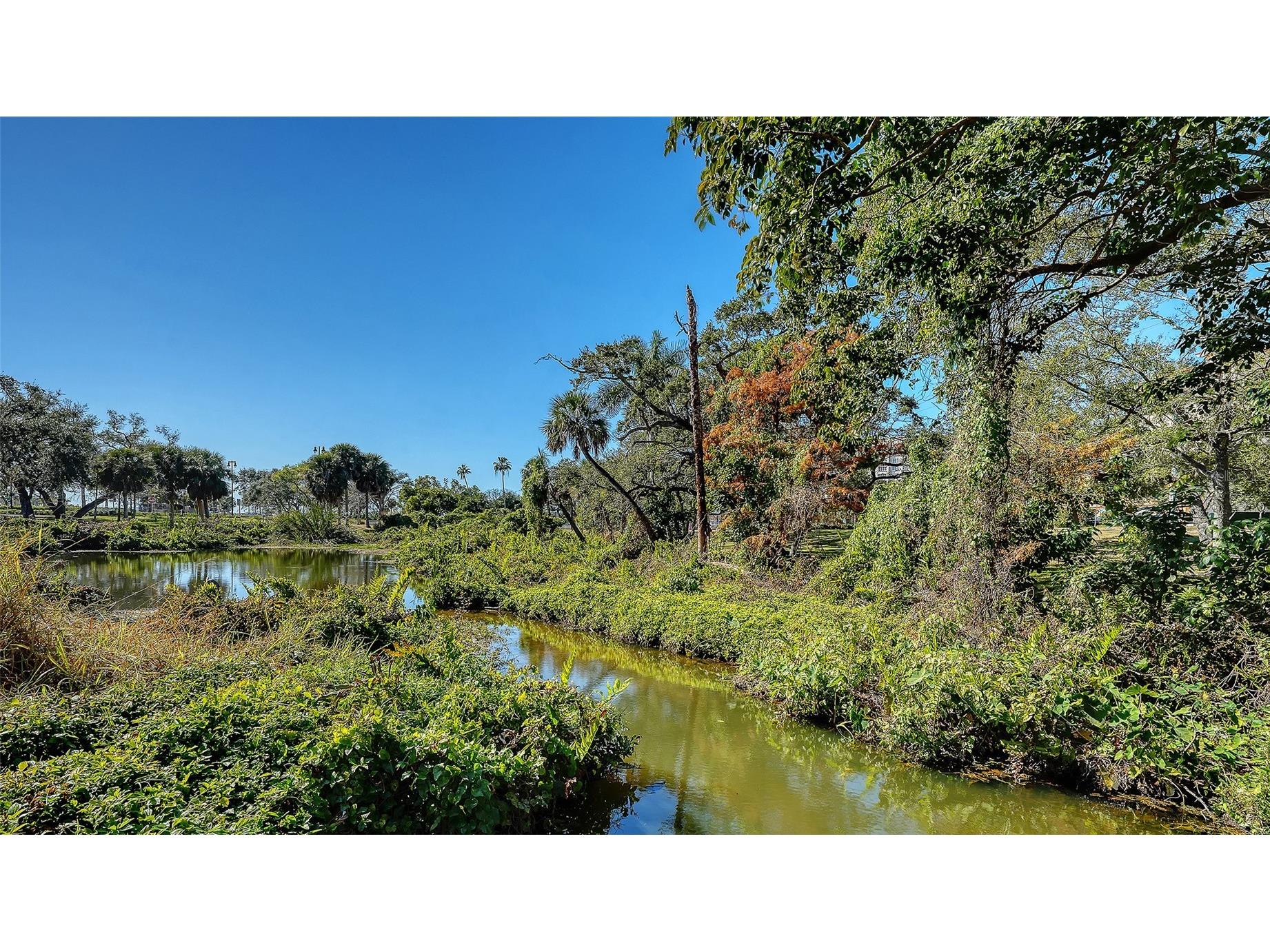 1268 11th Street #2404 Sarasota FL 34236 A4695491 image63