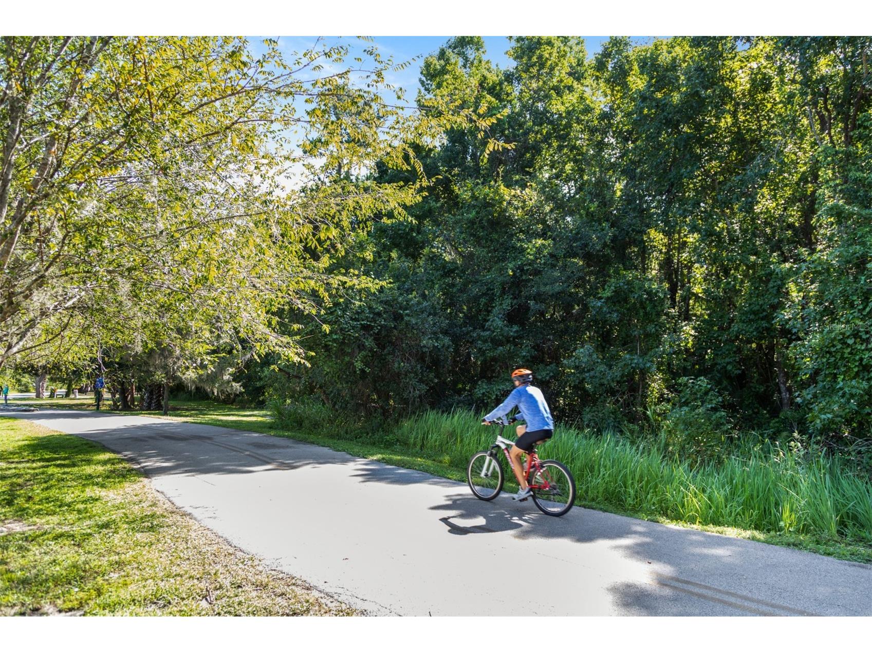 1268 Crab Apple Lane Winter Springs FL 32708 O6375131 image24