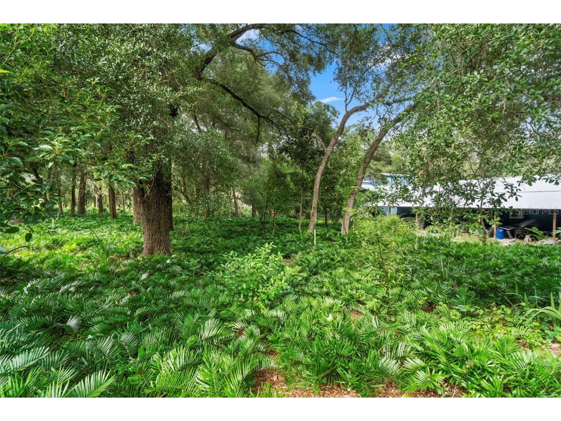 1268 Mcgregor Road Deland FL 32720 V4945009 image53