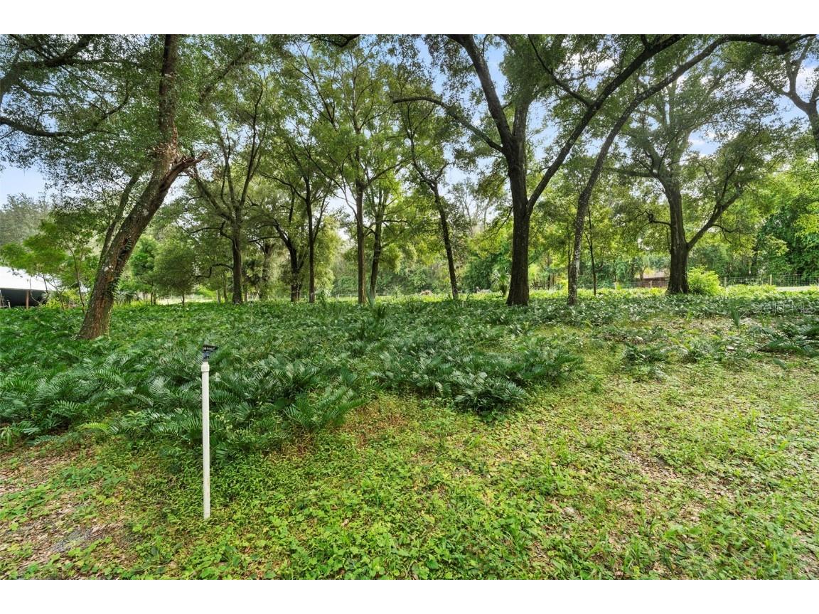 1268 Mcgregor Road Deland FL 32720 V4945009 image58