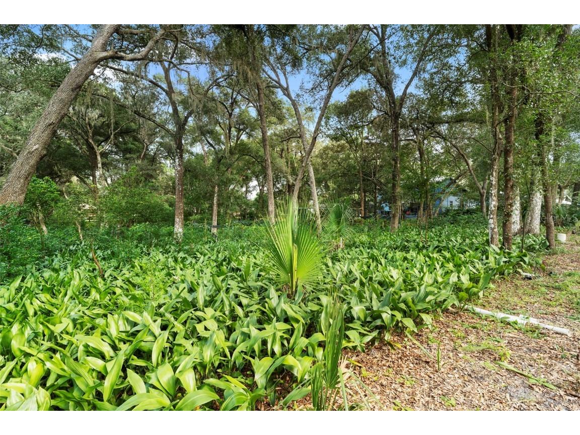 1268 Mcgregor Road Deland FL 32720 V4945009 image60