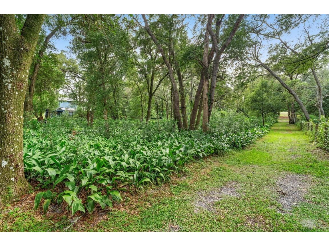 1268 Mcgregor Road Deland FL 32720 V4945009 image63