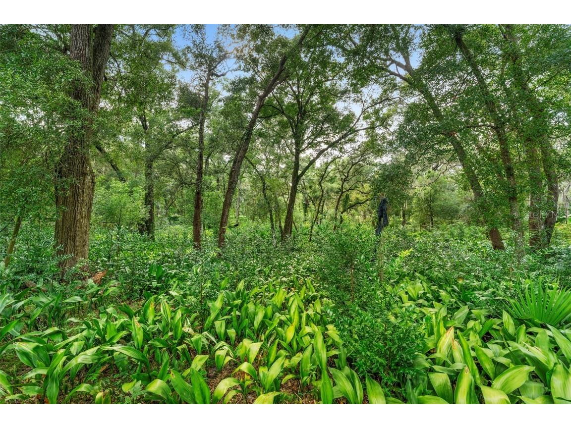 1268 Mcgregor Road Deland FL 32720 V4945009 image64