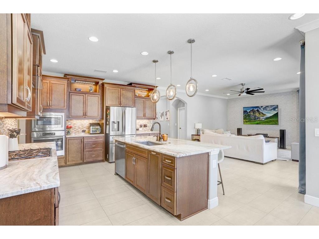 12683 Burns Drive Odessa FL 33556 TB8509872 image18