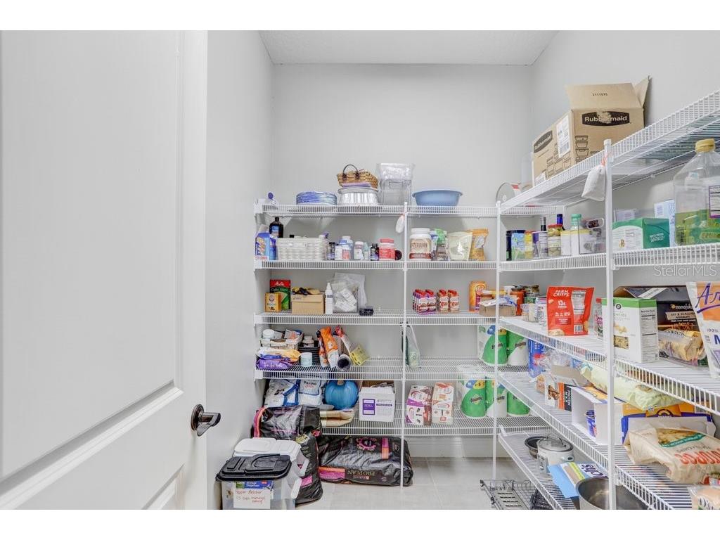 12683 Burns Drive Odessa FL 33556 TB8509872 image21