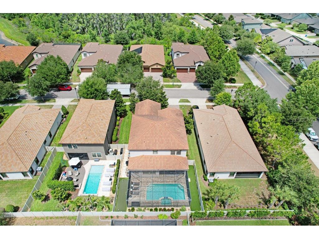 12683 Burns Drive Odessa FL 33556 TB8509872 image50