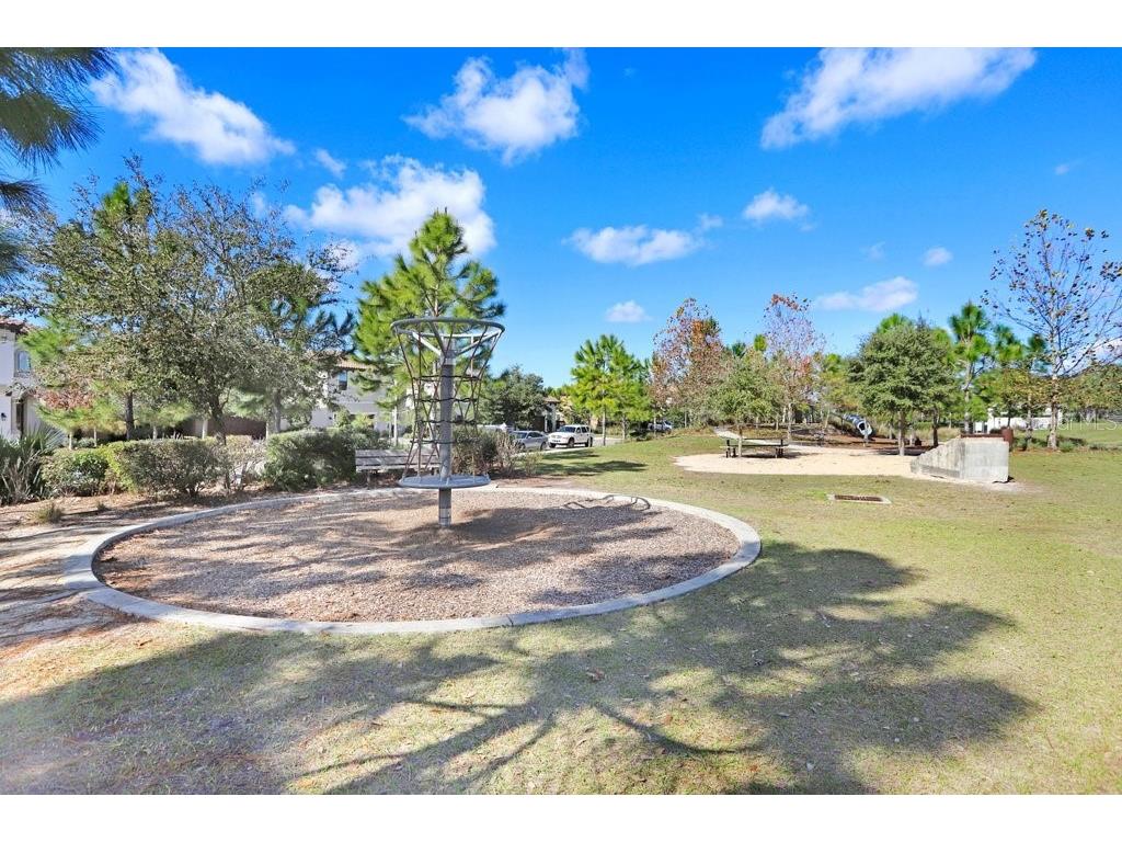 12683 Burns Drive Odessa FL 33556 TB8509872 image59