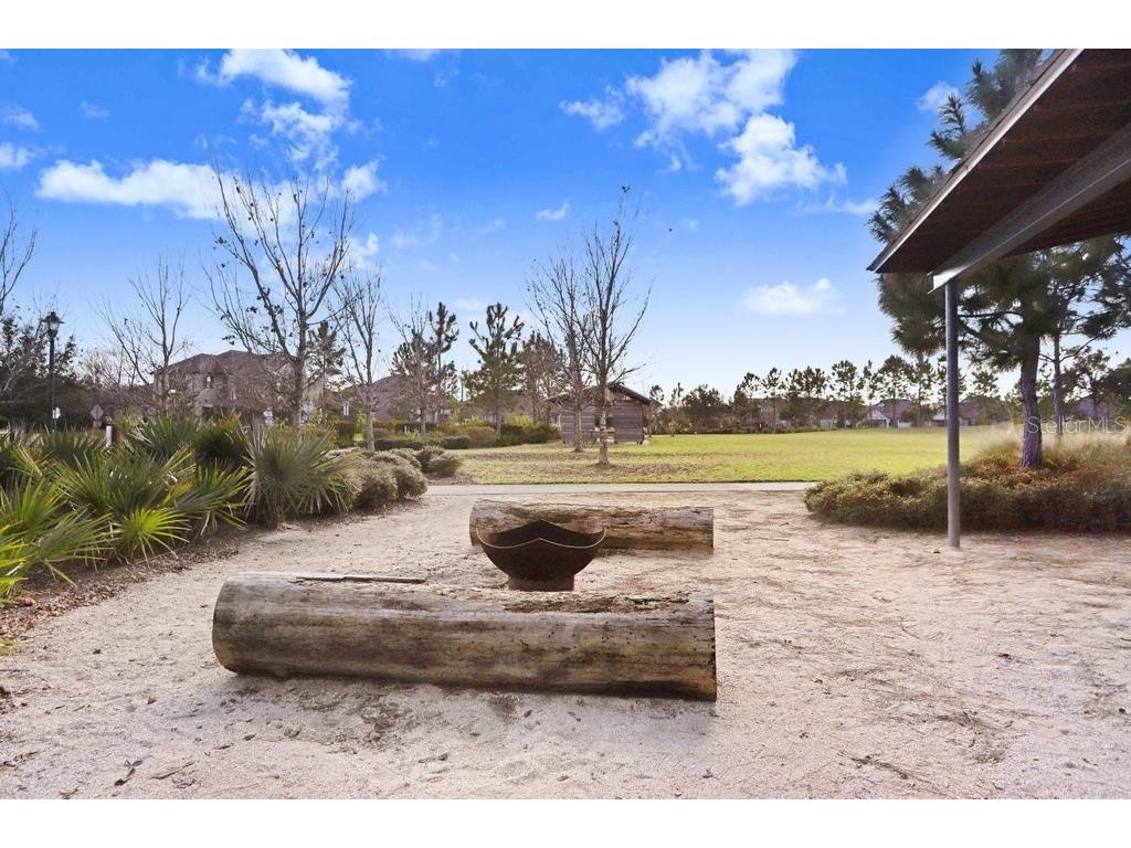12683 Burns Drive Odessa FL 33556 TB8509872 image64