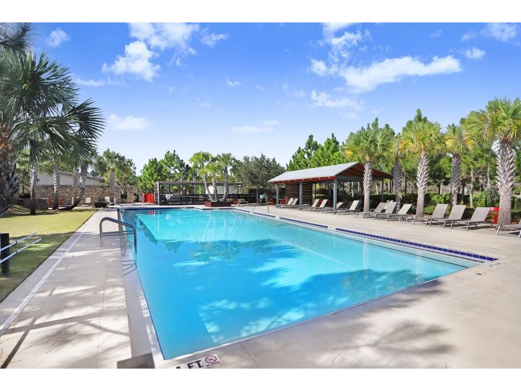 12683 Burns Drive Odessa FL 33556 TB8509872 image66