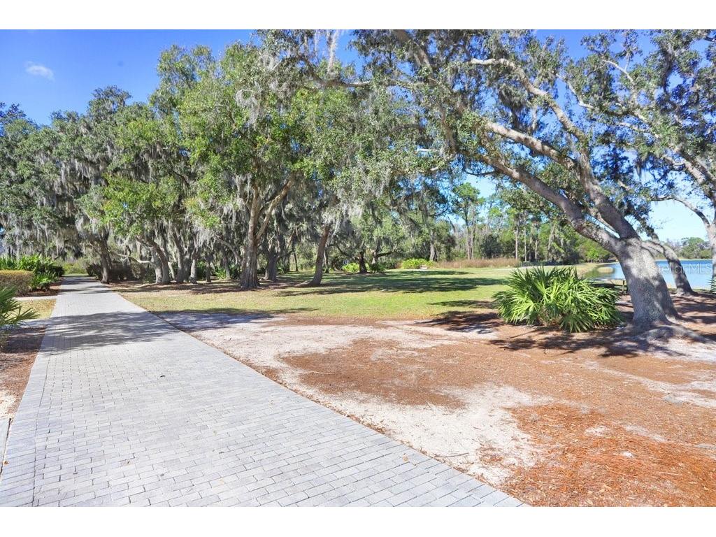12683 Burns Drive Odessa FL 33556 TB8509872 image71