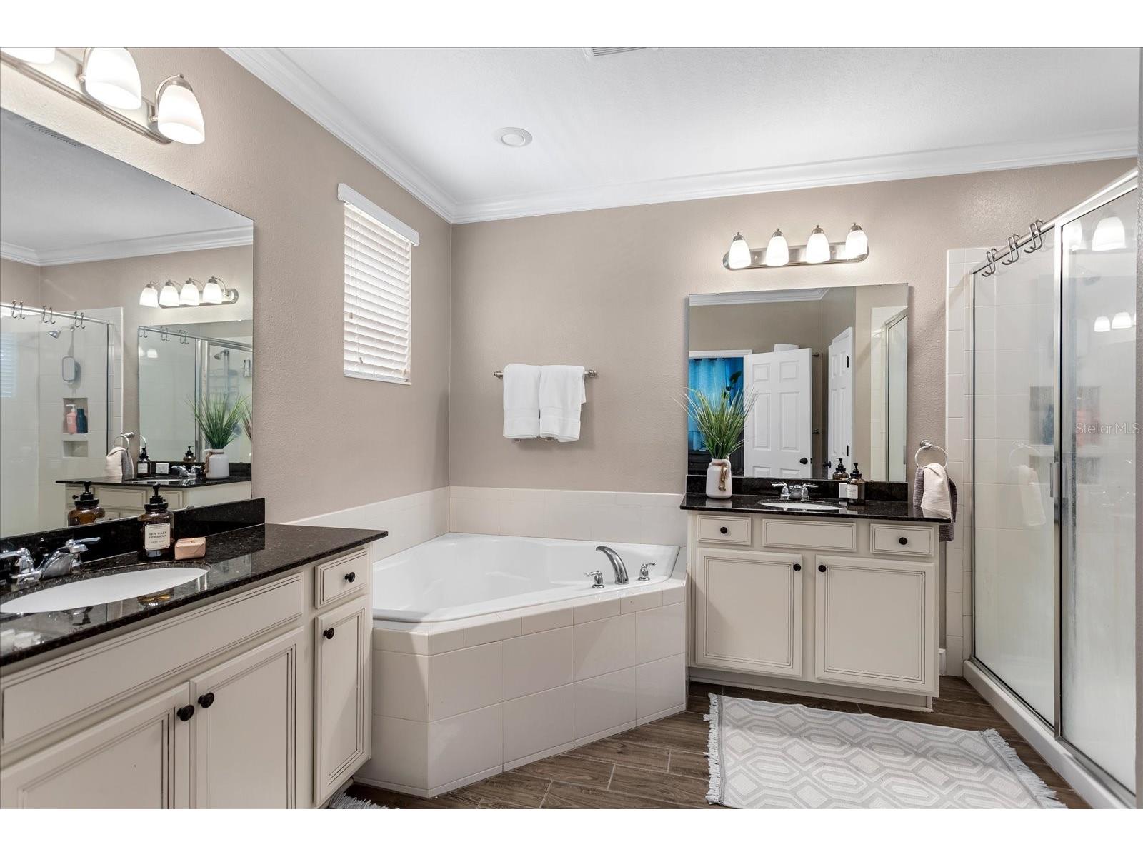 12688 Salomon Cove Drive Windermere FL 34786 G5111804 image19