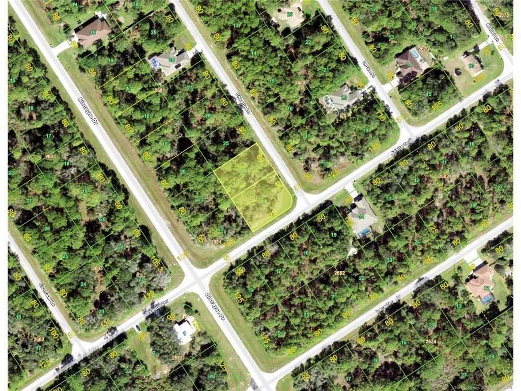 1269 Chagrin Lane Port Charlotte FL 33953 D6130948 image1