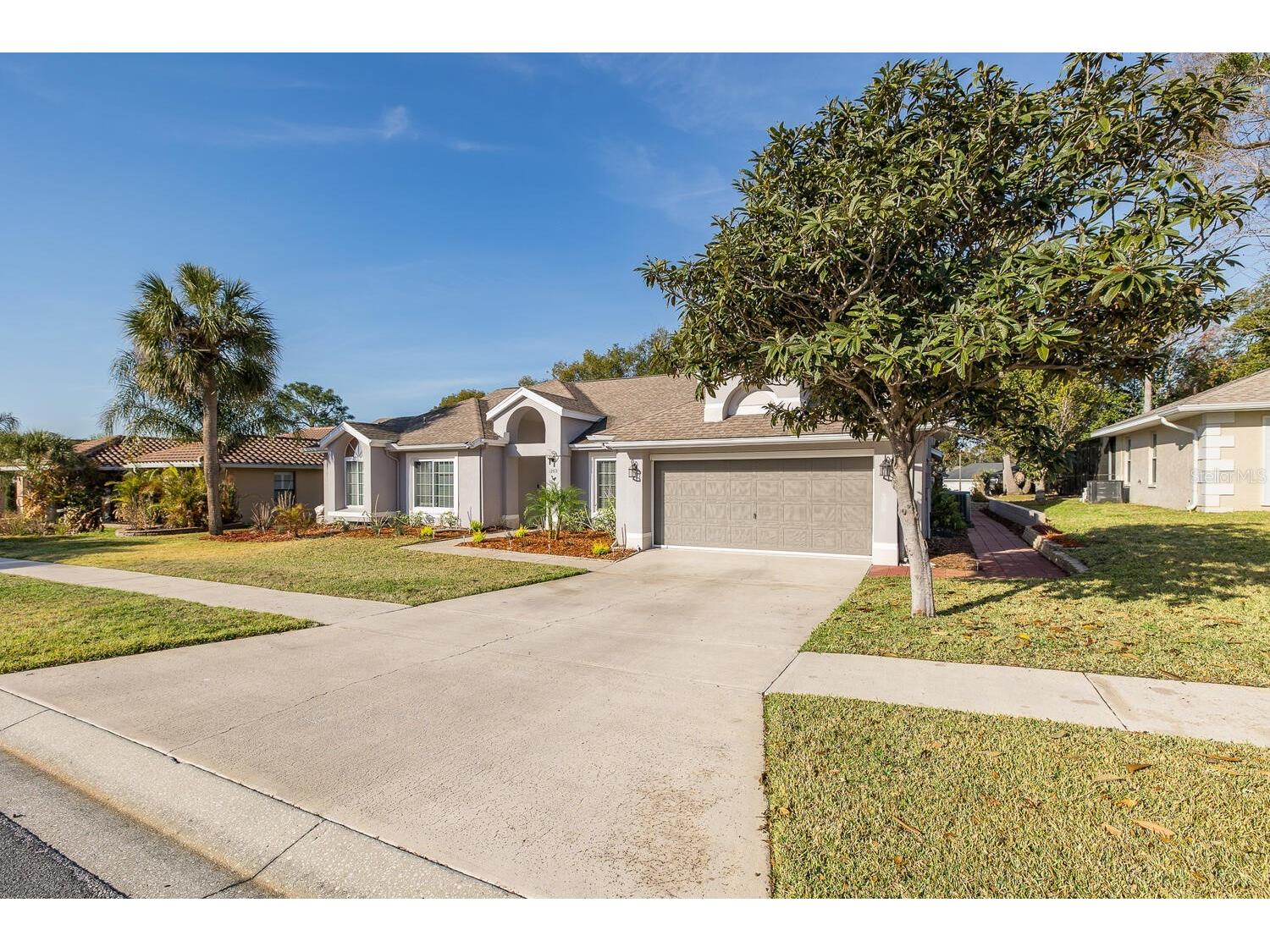 1269 Masada Lane Spring Hill FL 34608 W7883281 image3