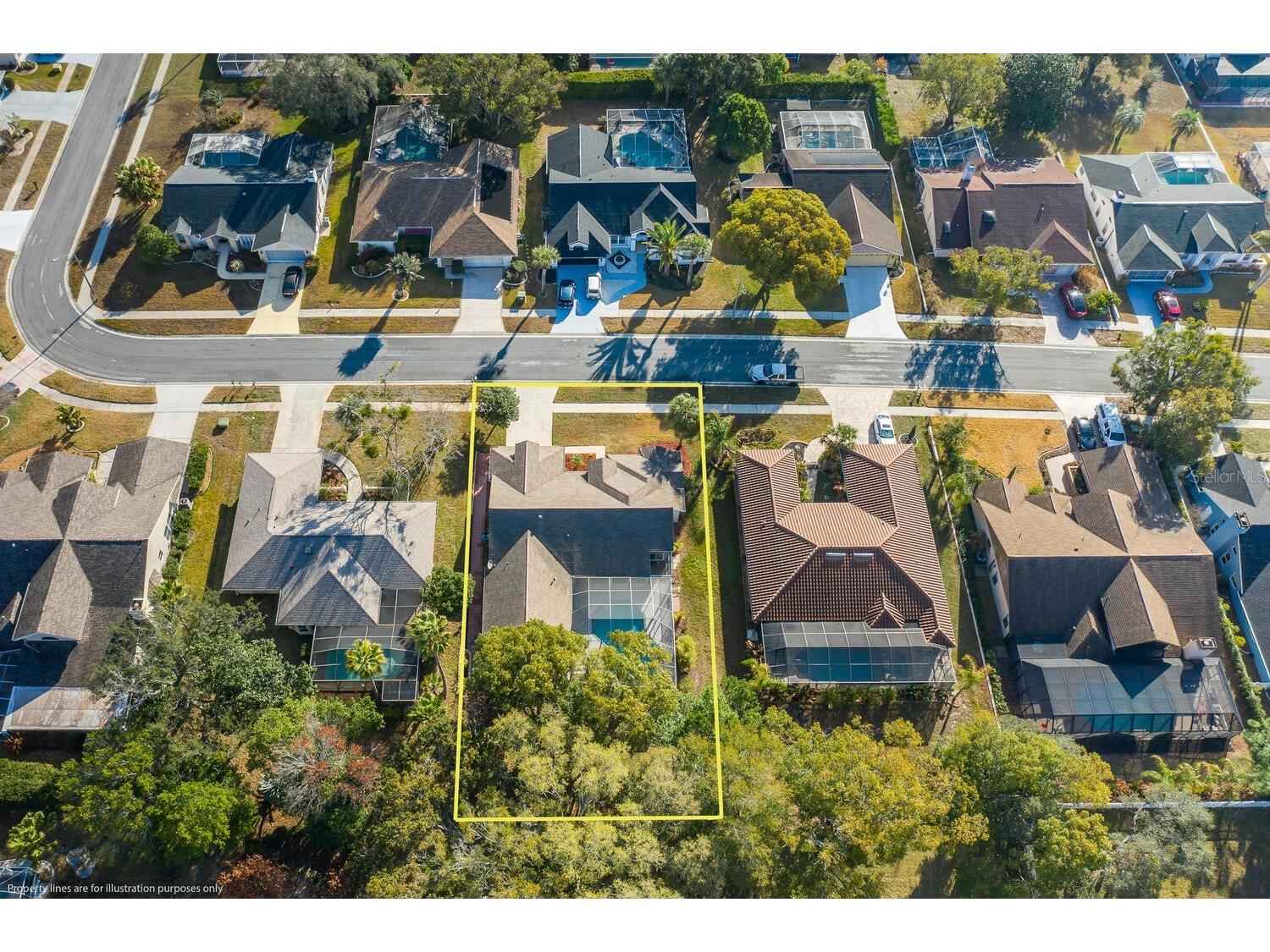 1269 Masada Lane Spring Hill FL 34608 W7883281 image8