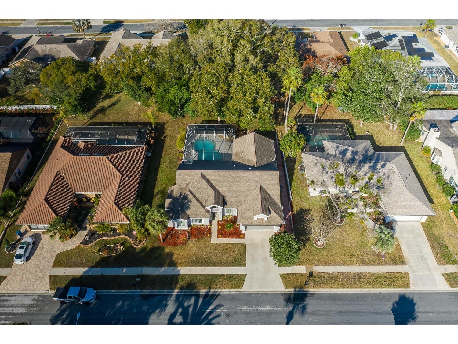 1269 Masada Lane Spring Hill FL 34608 W7883281 image9