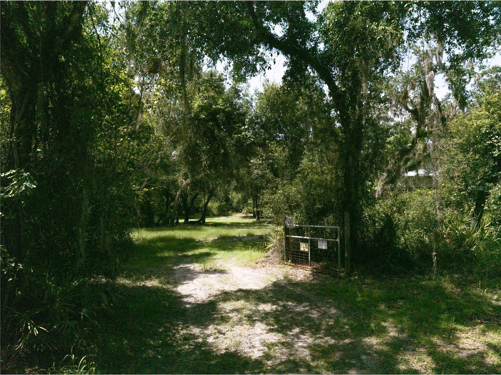 1269 NW Peace Pointe Drive Arcadia FL 34266 - PEACE RIVER C7510247 image1