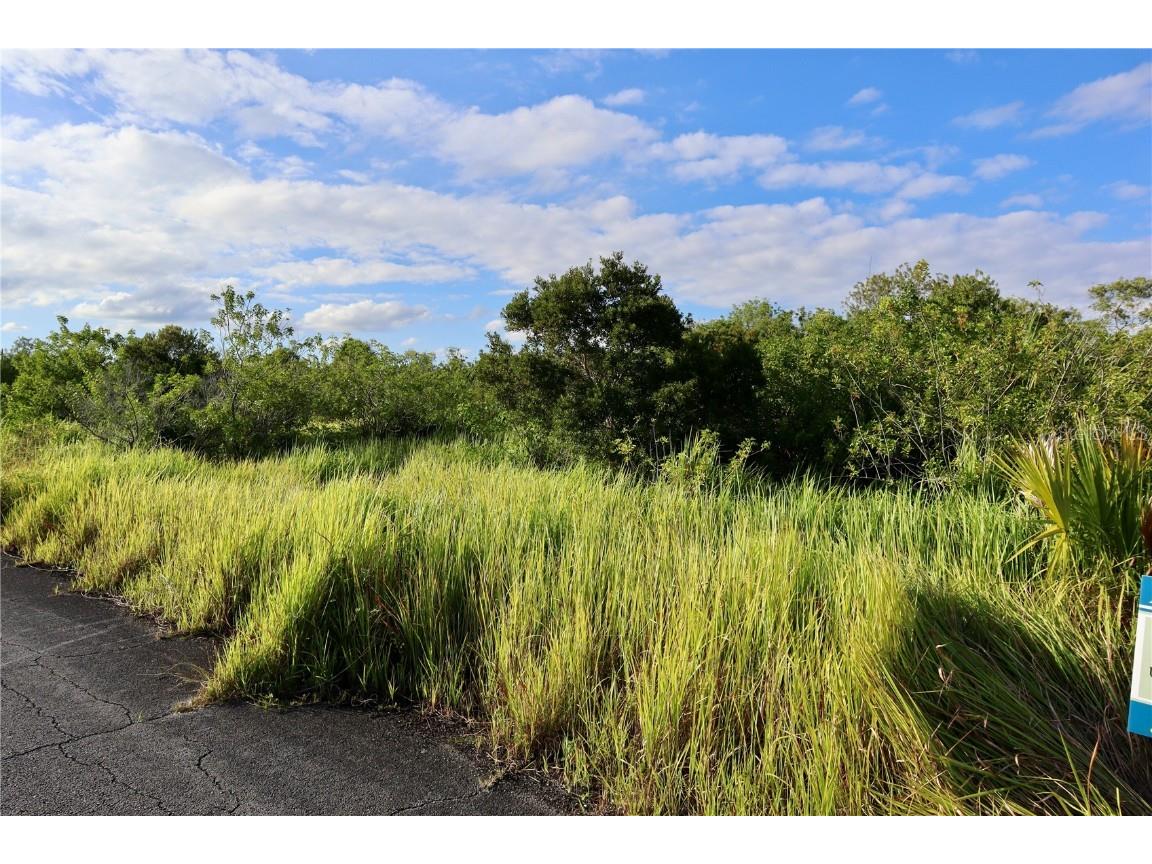 1269 Roland Street SW Palm Bay FL 32908 OM712739 image10