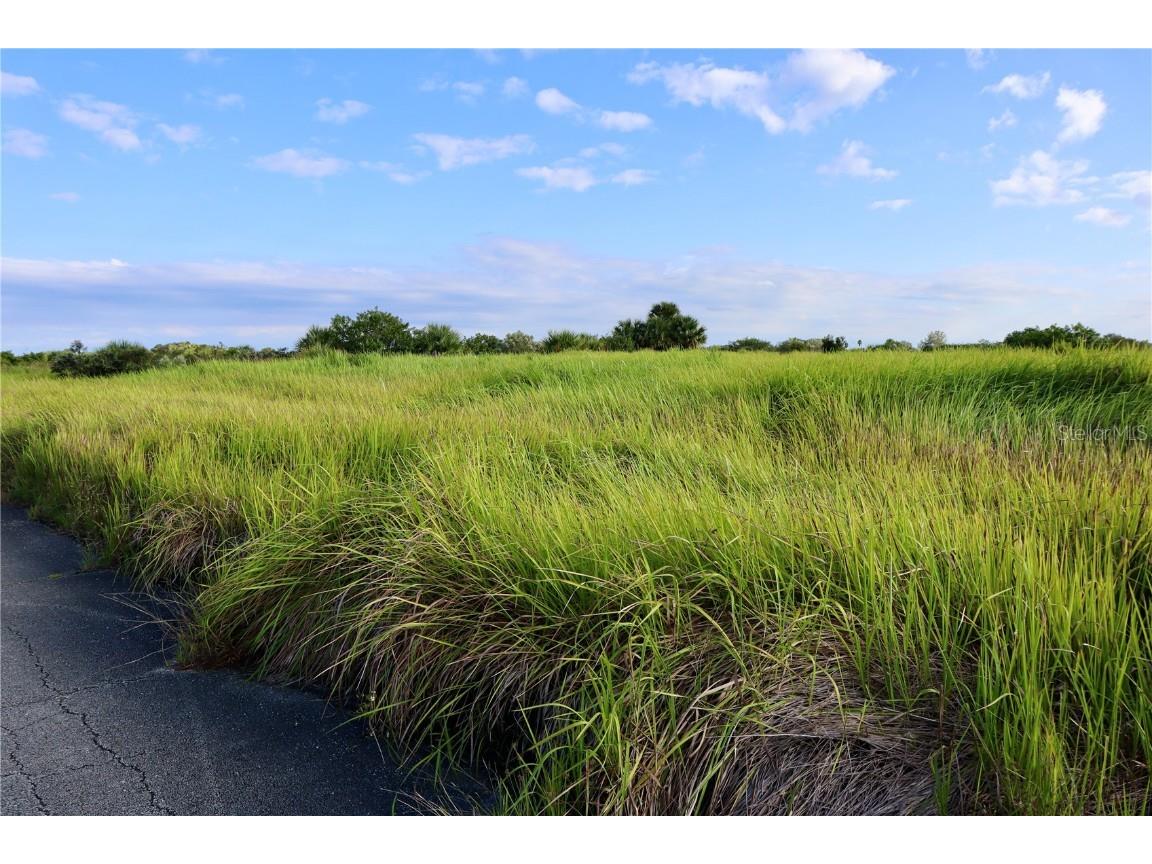 1269 Roland Street SW Palm Bay FL 32908 OM712739 image12