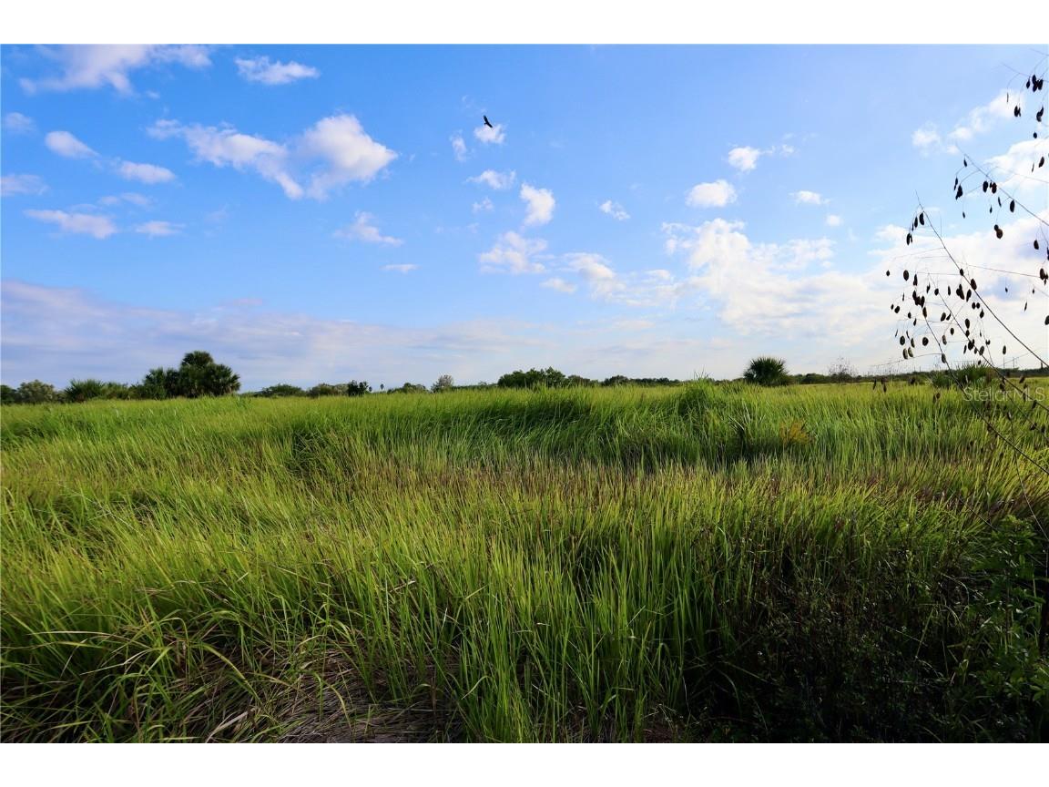 1269 Roland Street SW Palm Bay FL 32908 OM712739 image13