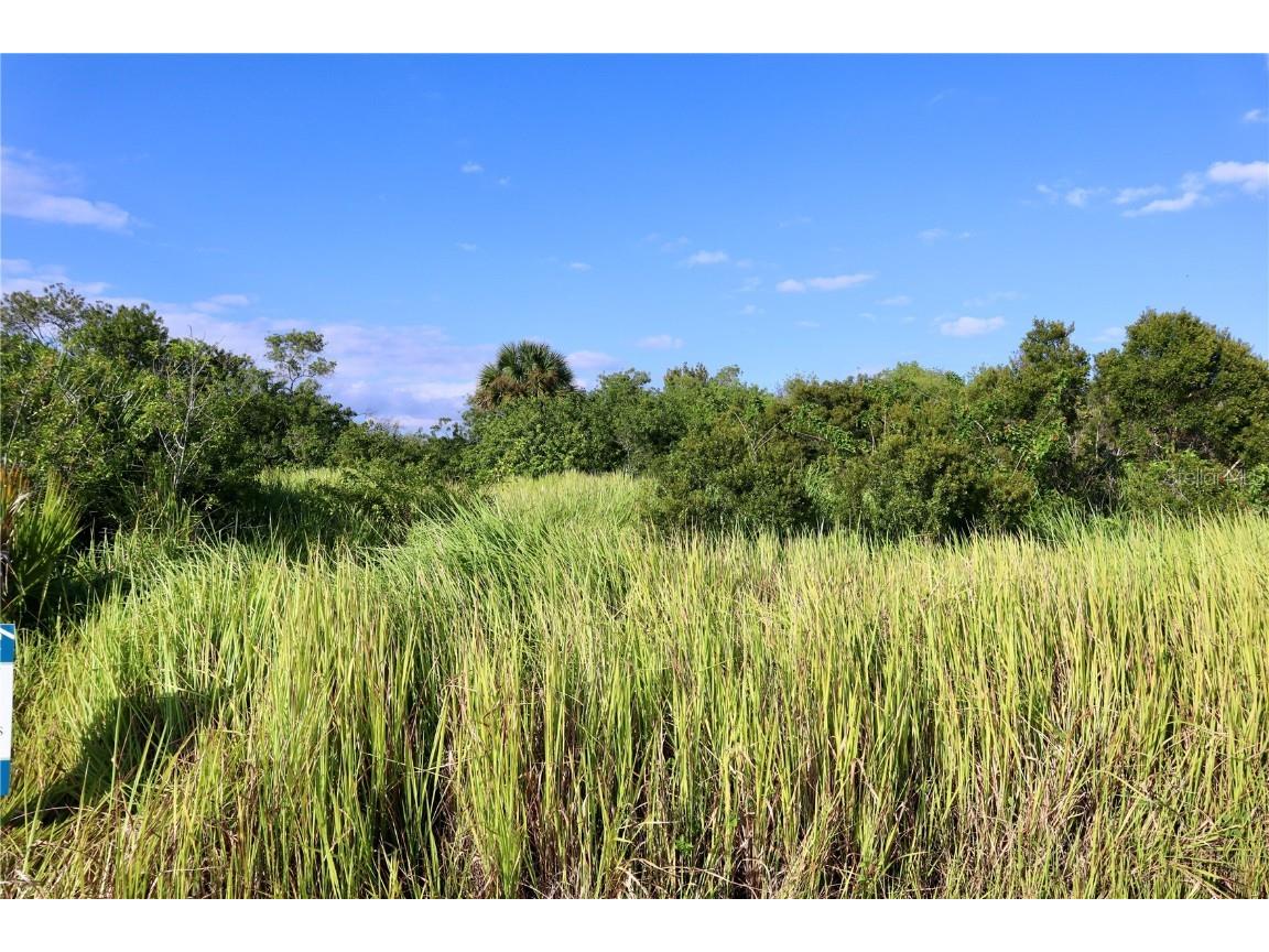 1269 Roland Street SW Palm Bay FL 32908 OM712739 image16