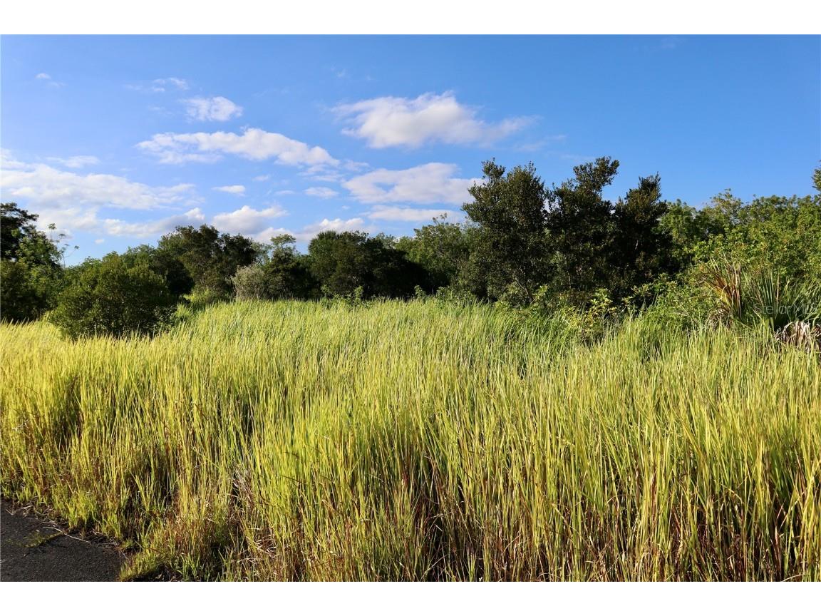 1269 Roland Street SW Palm Bay FL 32908 OM712739 image21