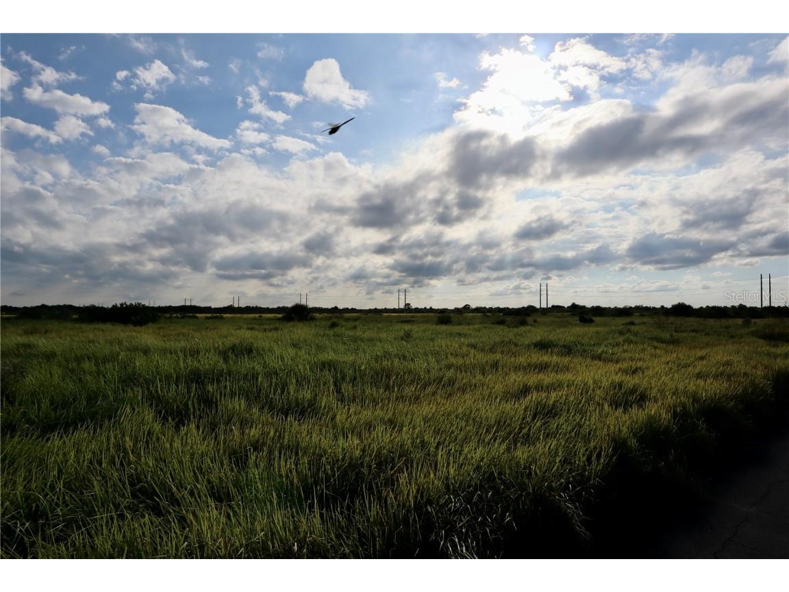 1269 Roland Street SW Palm Bay FL 32908 OM712739 image4