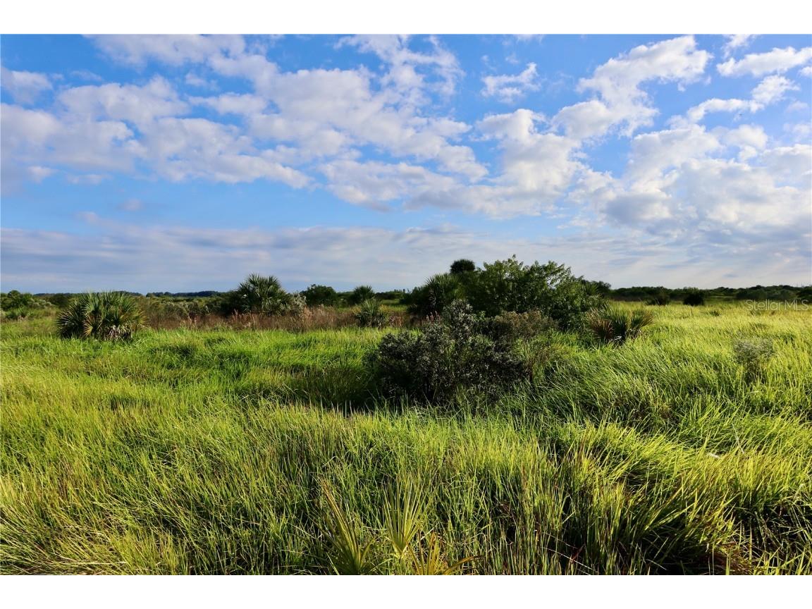 1269 Roland Street SW Palm Bay FL 32908 OM712739 image6