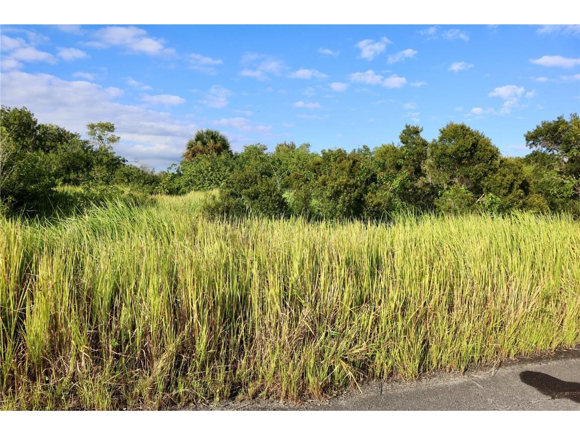 1269 Roland Street SW Palm Bay FL 32908 OM712739 image9