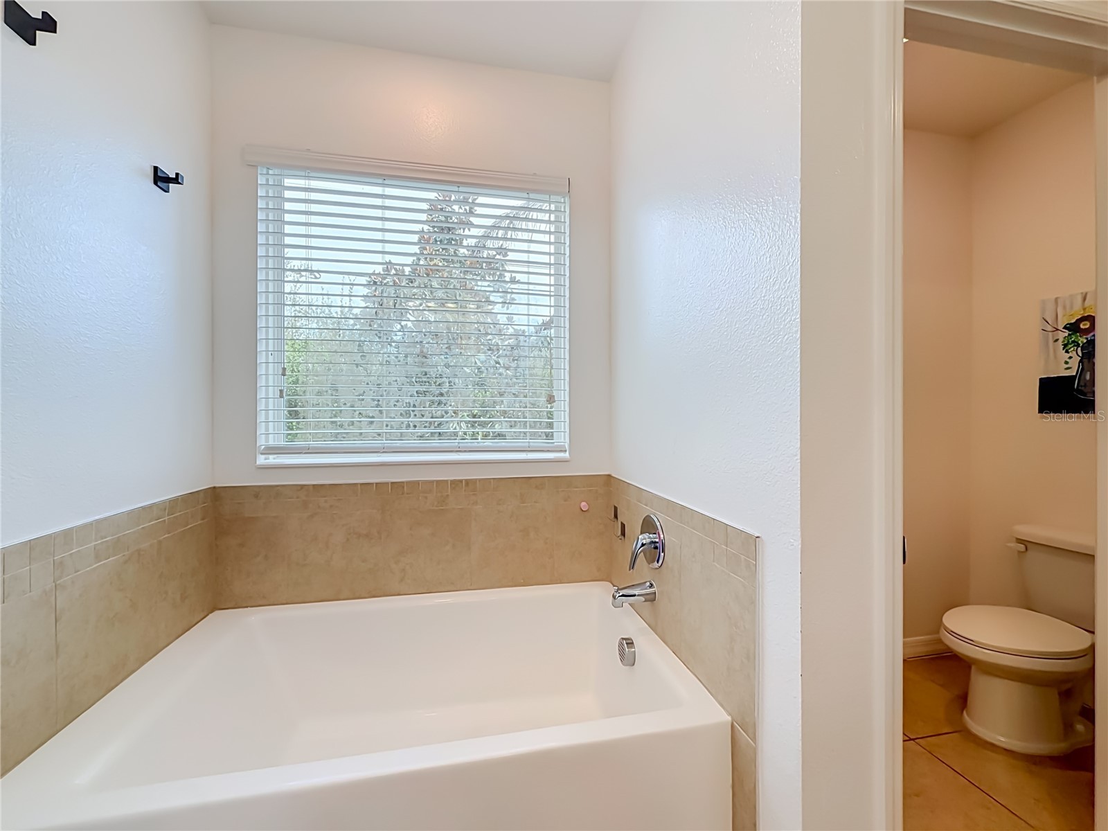 1269 Water Willow Drive Groveland FL 34736 O6407215 image47