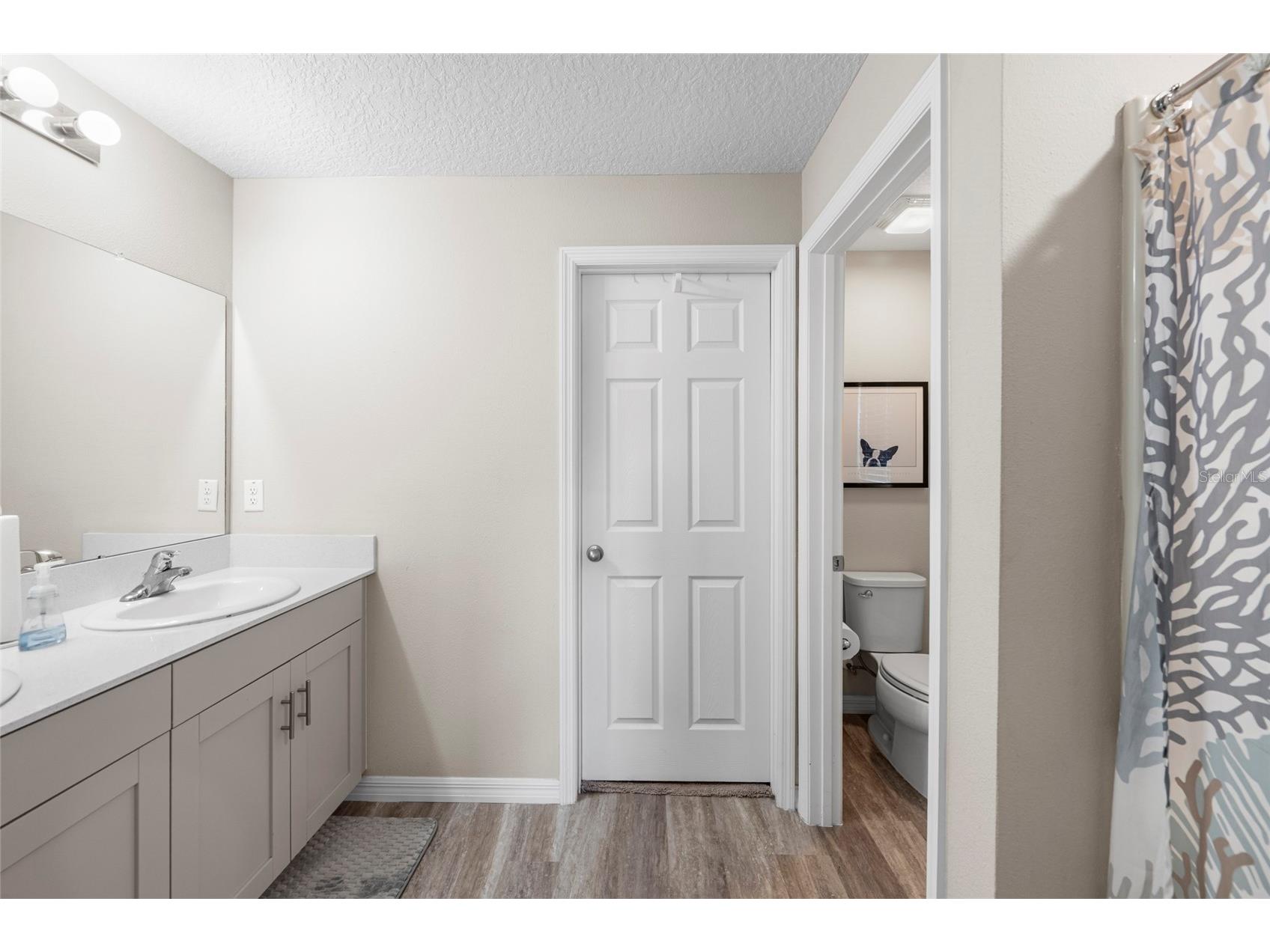12690 Tannencrest Drive Riverview FL 33579 A4689173 image16
