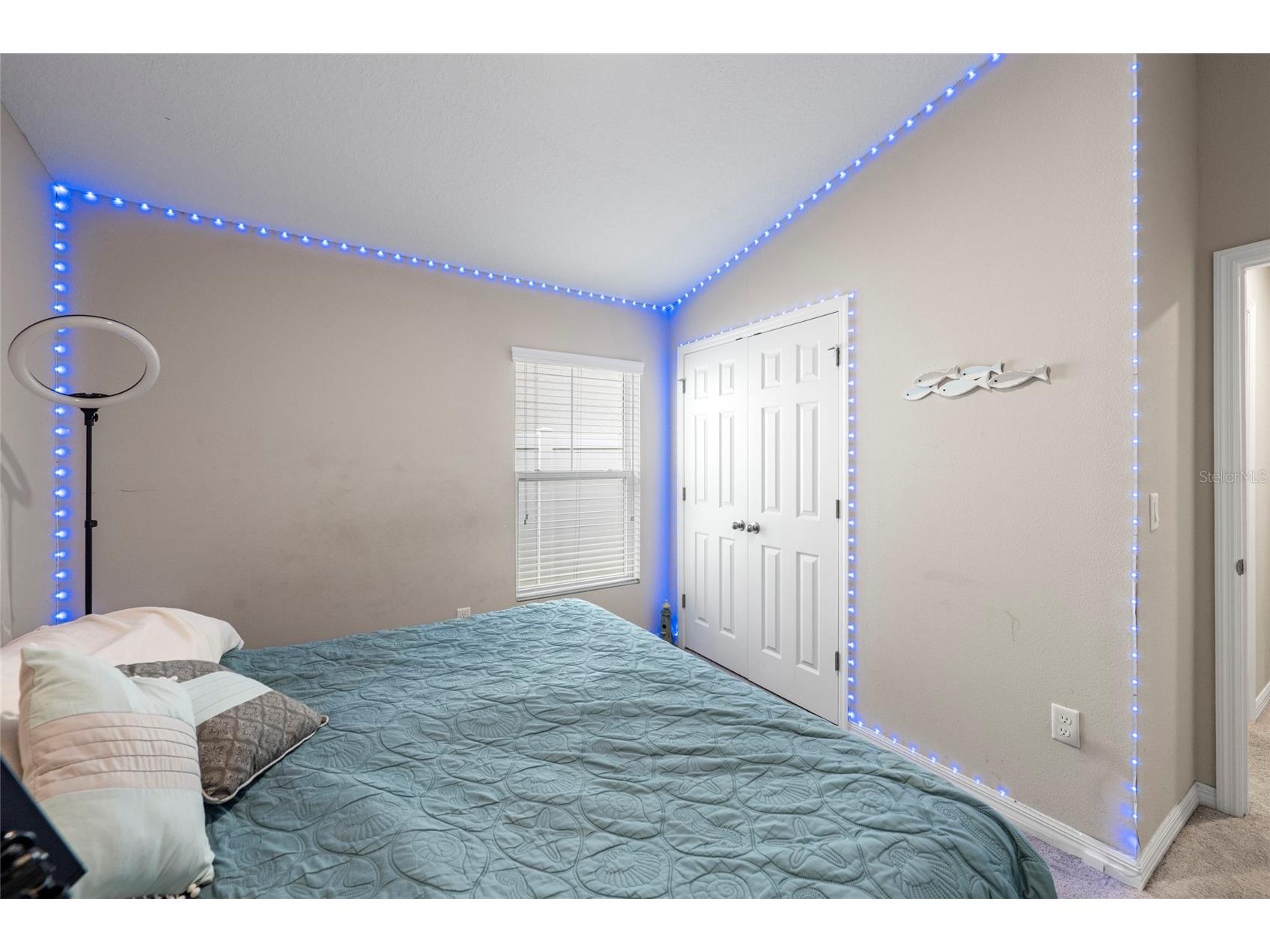 12690 Tannencrest Drive Riverview FL 33579 A4689173 image19