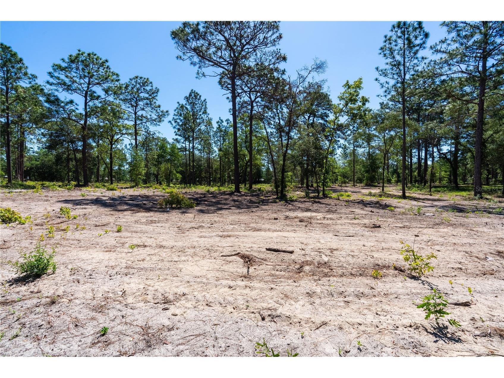 12691 SE 80th Street Morriston FL 32668 O6409355 image19