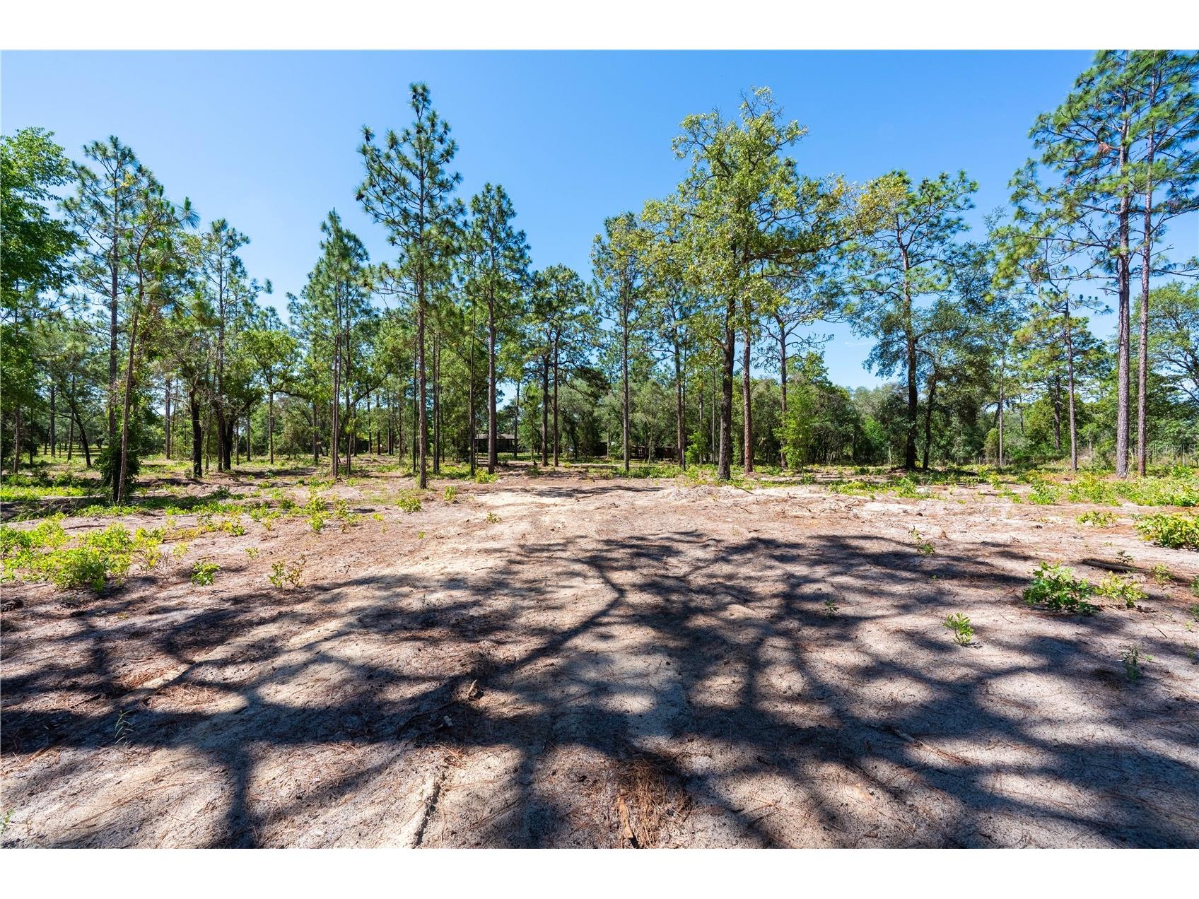 12691 SE 80th Street Morriston FL 32668 O6409355 image22