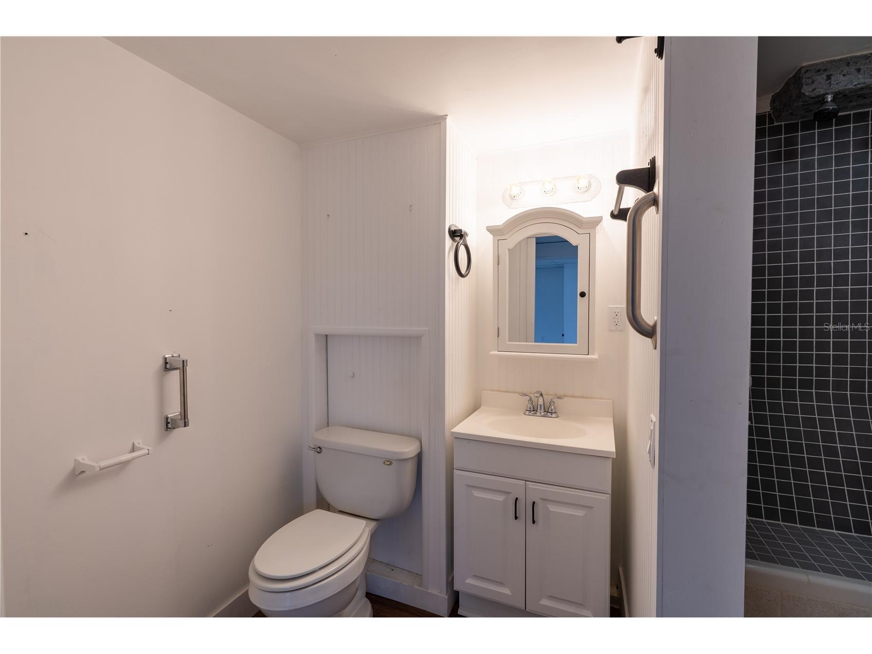 12691 SE 80th Street Morriston FL 32668 O6409355 image43