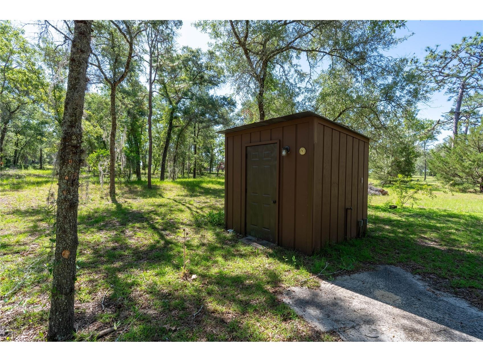 12691 SE 80th Street Morriston FL 32668 O6409355 image6