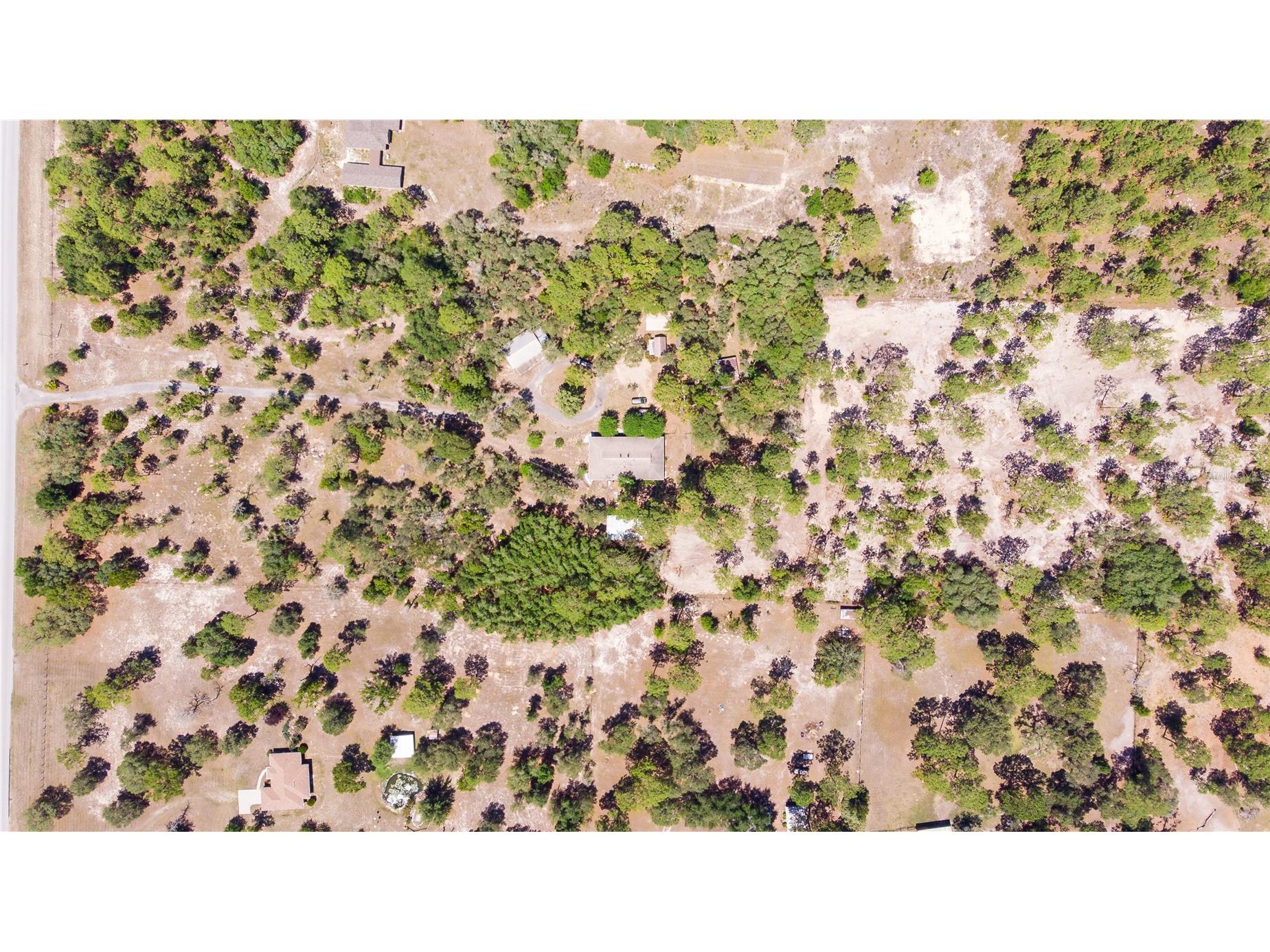 12691 SE 80th Street Morriston FL 32668 O6409355 image72