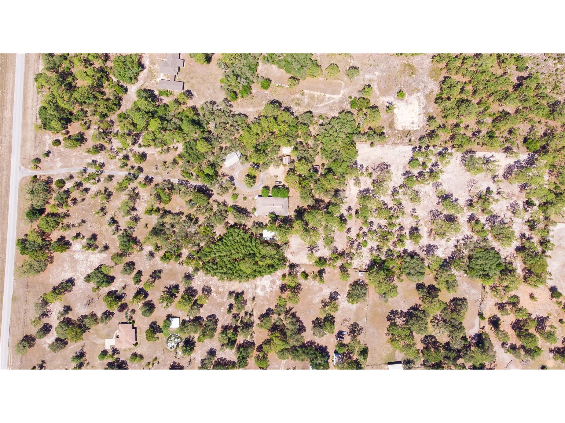 12691 SE 80th Street Morriston FL 32668 O6409355 image73