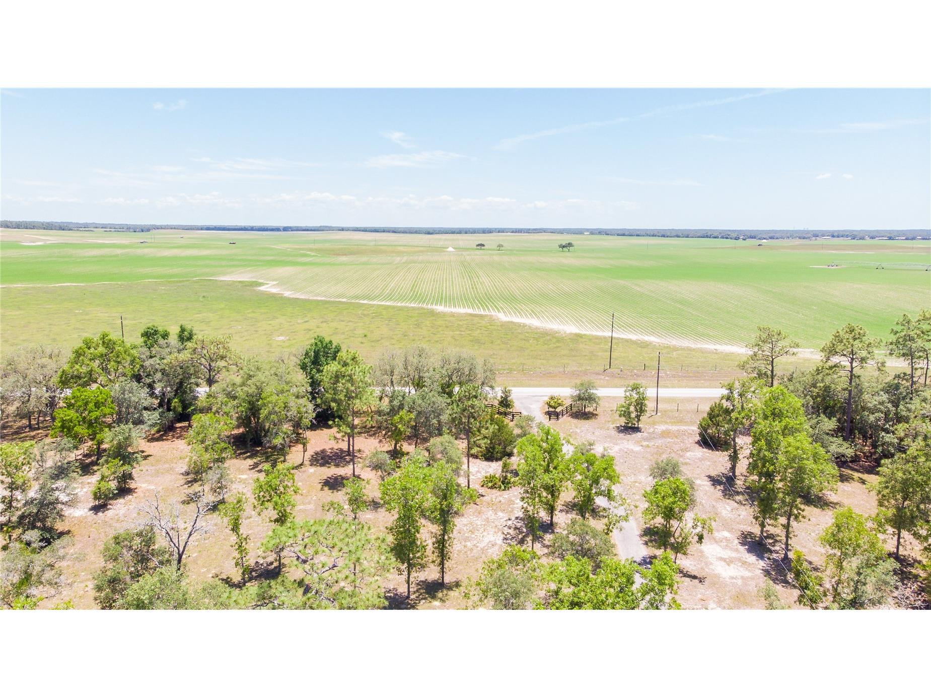 12691 SE 80th Street Morriston FL 32668 O6409355 image79