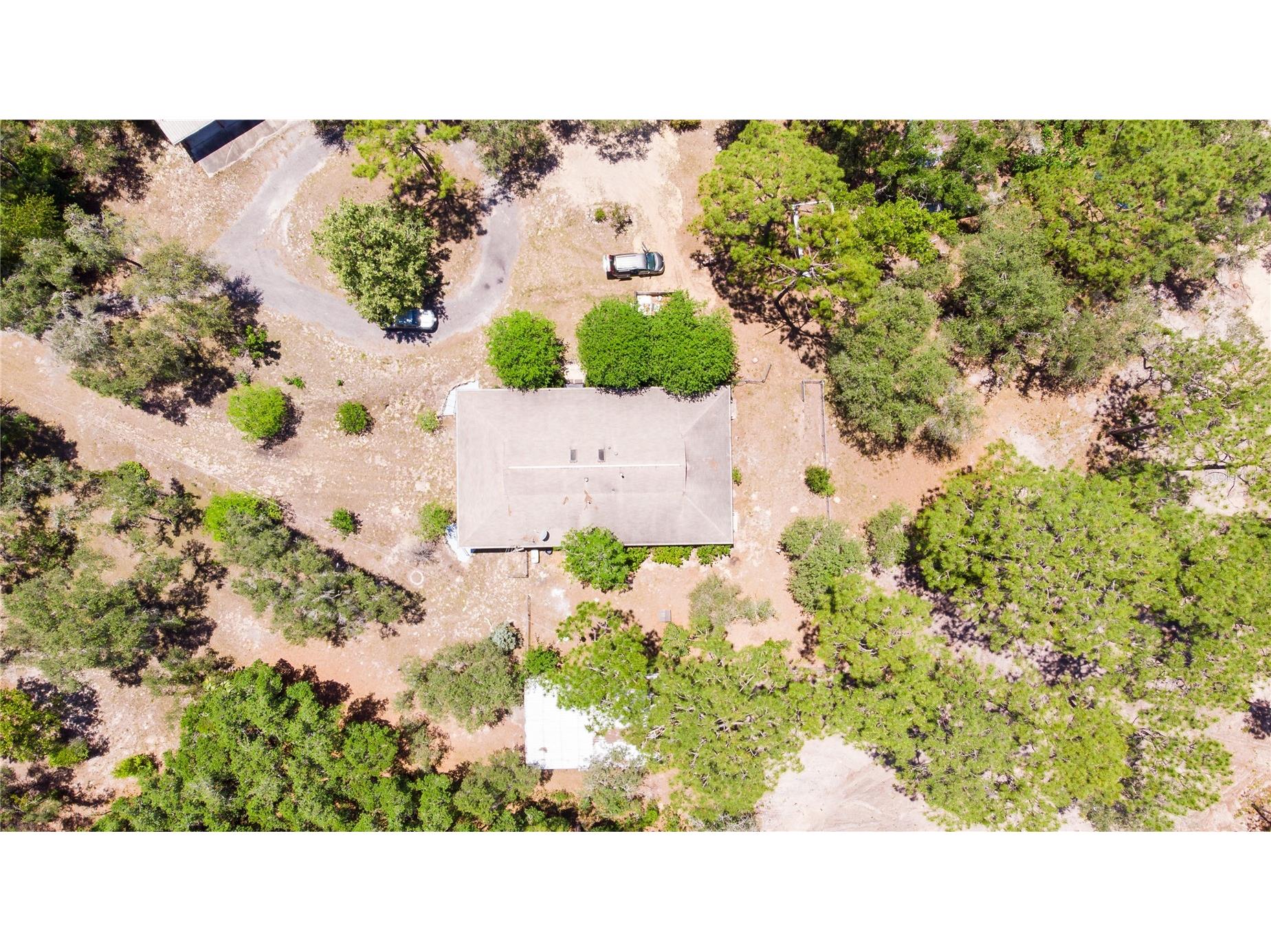 12691 SE 80th Street Morriston FL 32668 O6409355 image80