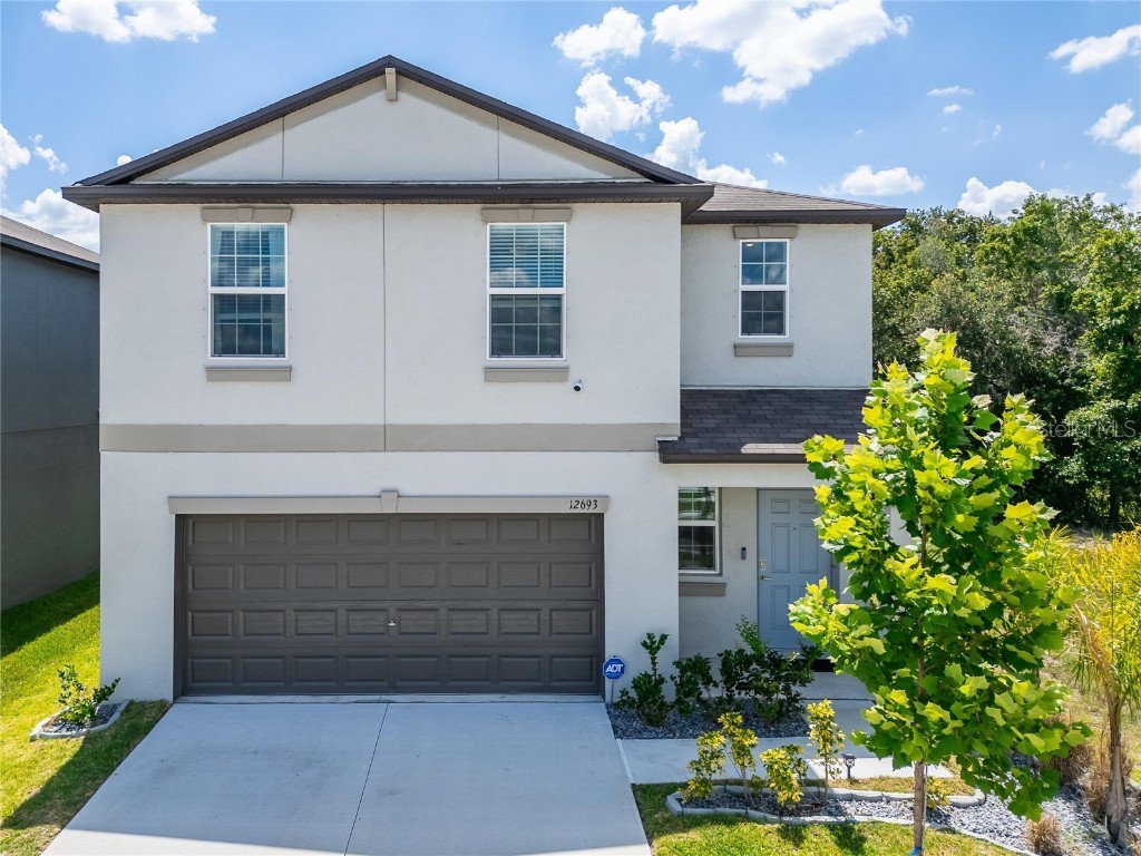 12693 Maple Bonsai Drive Riverview FL 33579 T3528900 image1