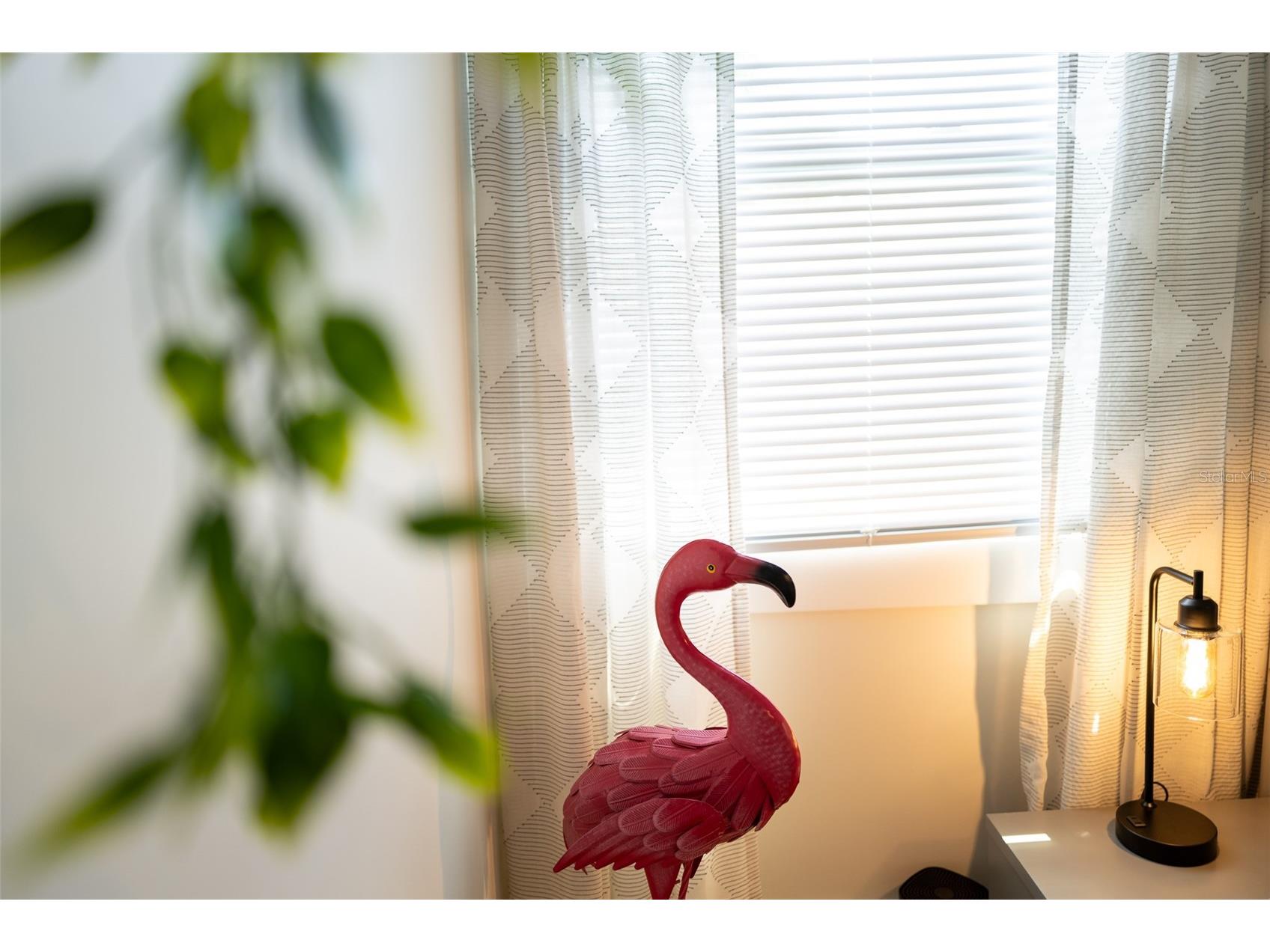 127 17th Avenue S Saint Petersburg FL 33701 TB8482976 image17