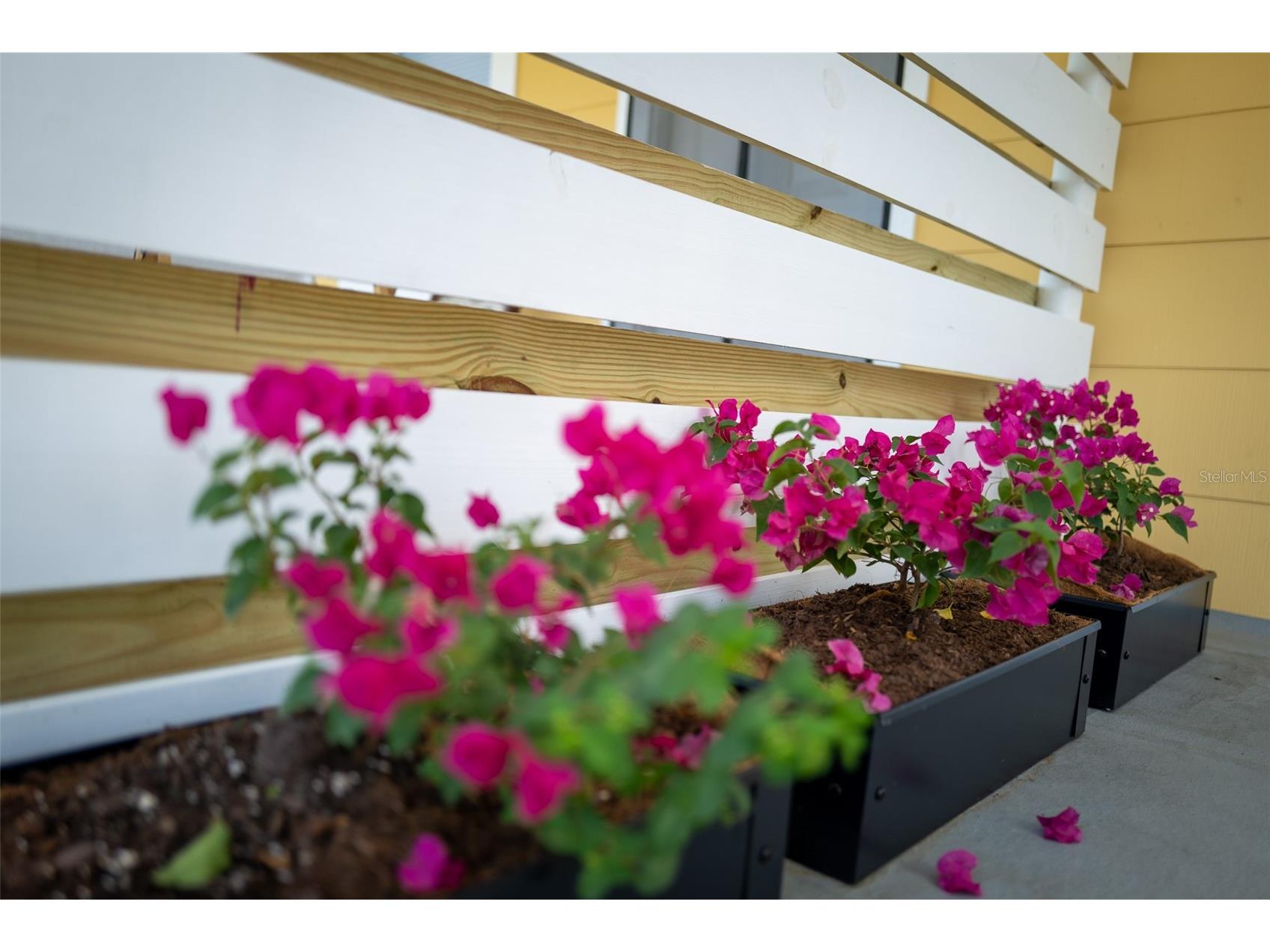 127 17th Avenue S Saint Petersburg FL 33701 TB8482976 image20