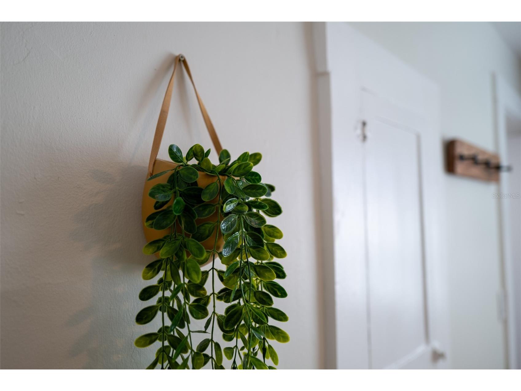 127 17th Avenue S Saint Petersburg FL 33701 TB8482976 image9