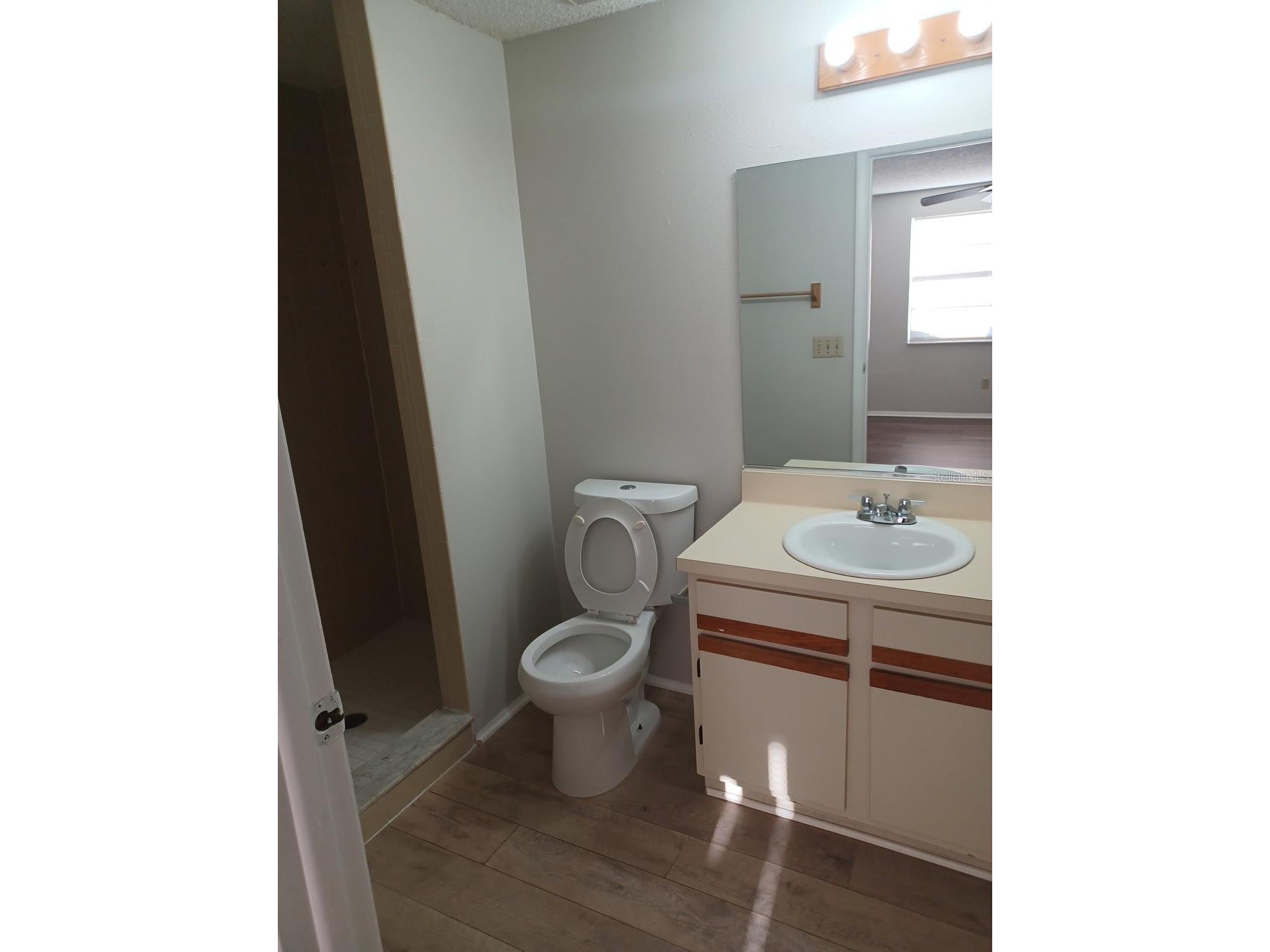 127 Camphor Circle #D Oldsmar FL 34677 TB8522824 image20